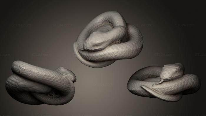 Статуэтки животных (Свернувшаяся змея, STKJ_0509) 3D модель для ЧПУ станка